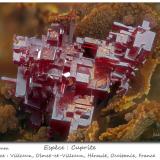 Cuprite<br />Villecun, Olmet-et-Villecun, Lodève Canton, Lodève District, Hérault, Occitanie, France<br />fov 1.6 mm<br /> (Author: ploum)