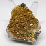 Galena, Dolomita<br />Mina Regia, Bellmunt del Priorat, Comarca Priorat, Tarragona, Cataluña / Catalunya, España<br />5cmx5cm<br /> (Autor: Adri Rodríguez)