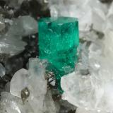 Beryl (variety emerald), Pyrite, Calcite, Dolomite<br />Coscuez mining district, Municipio San Pablo de Borbur, Western Emerald Belt, Boyacá Department, Colombia<br />75x86x58mm, xl=9x6mm<br /> (Author: Fiebre Verde)