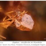 Wulfenite and Mimetite<br />Santa Ana Mine, Cerrillos Mountains, Tocopilla Province, Antofagasta Region, Chile<br />fov 0.75 mm<br /> (Author: ploum)