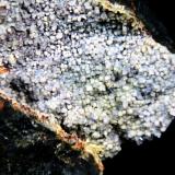Fluellita y Fluorwavellita<br />Mina Willard, Distrito Willard, Condado Pershing, Nevada, USA<br />Campo de visión 4 cm.<br /> (Autor: Antonio P. López)