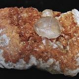 Calcite on Dolomite<br />State Route 56 road cut, Canton, Washington County, Indiana, USA<br />The specimen is 8 cm. The Calcite crystal is 1.8 cm<br /> (Author: Bob Harman)