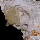 Calcite and Dolomite on QuartzState Route 37 road cuts, Harrodsburg, Clear Creek Township, Monroe County, Indiana, USAThe Calcite crystals are up to 3.5 cm (Author: Bob Harman)