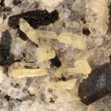 Aegirine with Ilmenite<br />Summit Rock, Klamath County, Oregon, USA<br />FOV = 2.9 mm<br /> (Author: Doug)