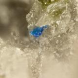 Cuprorivaite<br />Summit Rock, Klamath County, Oregon, USA<br />FOV = 0.5 mm<br /> (Author: Doug)