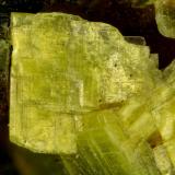 Autunite<br />Daybreak Mine, Mount Kit Carson, Spokane County, Washington, USA<br />FOV = 2.7mm<br /> (Author: Doug)
