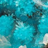 Cavansite<br />Owyhee Dam, Lake Owyhee State Park, Malheur County, Oregon, USA<br />FOV = 3.8 mm<br /> (Author: Doug)