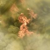 Copper<br />Beech Creek Quarry, Mount Vernon, Grant County, Oregon, USA<br />FOV = 0.7mm<br /> (Author: Doug)