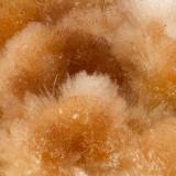 Ferrierite-Mg<br />Monte Lake, Kamloops Mining Division, British Columbia, Canada<br />FOV = 2.9 mm<br /> (Author: Doug)