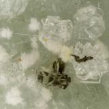 Pyrite, Clinoptilolite-Ca, Erionite-Ca, Mordenite<br />Cape Lookout Quarry, Netarts, Tillamook County, Oregon, USA<br />FOV = 2.6 mm<br /> (Author: Doug)
