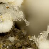 Erionite-K<br />Yaquina Head Quarry, Agate Beach, Lincoln County, Oregon, USA<br />FOV = 1.3 mm<br /> (Author: Doug)