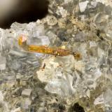 Pyrite, Clinoptilolite-NaCantera Yaquina Head, Agate Beach, Condado Lincoln, Oregon, USAFOV = 2.7 mm (Author: Doug)