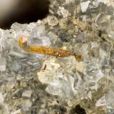 Pyrite, Clinoptilolite-Na<br />Yaquina Head Quarry, Agate Beach, Lincoln County, Oregon, USA<br />FOV = 2.7 mm<br /> (Author: Doug)