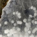 Mordenite, Erionite-Ca, Clinoptilolite-Ca<br />Cape Lookout Quarry, Netarts, Tillamook County, Oregon, USA<br />FOV = 2.7 mm<br /> (Author: Doug)