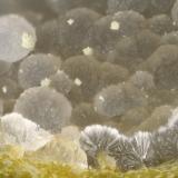 Cowlesite<br />Monte Lake, Kamloops Mining Division, British Columbia, Canada<br />FOV = 3.5 mm<br /> (Author: Doug)
