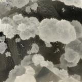 Cowlesite<br />Burnt Cabin Creek, Spray, Wheeler County, Oregon, USA<br />FOV = 3.1 mm<br /> (Author: Doug)