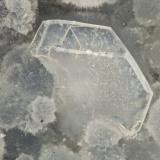 Levyne-Ca, Cowlesite<br />Burnt Cabin Creek, Spray, Wheeler County, Oregon, USA<br />FOV = 2.7<br /> (Author: Doug)