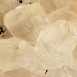 Brewsterite-Sr<br />Yellow Lake, Olalla, Osoyoos Mining Division, British Columbia, Canada<br />FOv = 2.9 mm<br /> (Author: Doug)