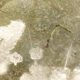 Pyrite, Erionite-Ca, Clinoptilolite-Ca<br />Cape Lookout Quarry, Netarts, Tillamook County, Oregon, USA<br />FOV = 2.2 mm<br /> (Author: Doug)
