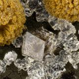 Paulingite-K, Clinoptilolite-Ca, Phillipsite-K<br />Rock Island Dam, Rock Island, Douglas County, Washington, USA<br />FOV = 3.0 mm<br /> (Author: Doug)