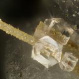 Paulingite-CaThree Mile Creek, Ritter, Grant County, Oregon, USAFOV = 1.4 mm (Author: Doug)