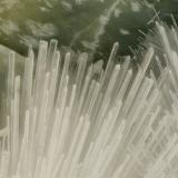 Artinite<br />Artinite Pit, Clear Creek, Picacho Peak, New Idria District, Diablo Range, San Benito County, California, USA<br />FOV = 3.0 mm<br /> (Author: Doug)