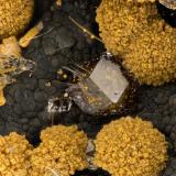 Paulingite-K, Erionite-K<br />Rock Island Dam, Rock Island, Douglas County, Washington, USA<br />FOV = 3.2 mm<br /> (Author: Doug)