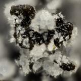 Cowlesite<br />Burnt Cabin Creek, Spray, Wheeler County, Oregon, USA<br />FOV = 1.4 mm<br /> (Author: Doug)