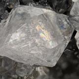 Celestine<br />Chittenango Falls, Fenner, Madison County, New York, USA<br />4.0 mm<br /> (Author: Doug)