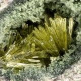 Epidote<br />Kapaa Quarries, Kailua, Oahu Island, Honolulu County, Hawaii, USA<br />FOV = 2.2 mm<br /> (Author: Doug)