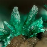 Brochantite<br />Potrerillos Mine, Potrerillos, Diego de Almagro, Chañaral Province, Atacama Region, Chile<br />FOV = 1.8 mm<br /> (Author: Doug)