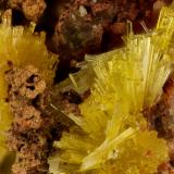Legrandite<br />Ojuela Mine, Mapimí, Municipio Mapimí, Durango, Mexico<br />FOV = 2.7<br /> (Author: Doug)