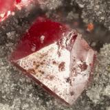 Cinnabar<br />New Idria Mine, Diablo Mountains, Idria, New Idria District, San Benito County, California, USA<br />FOV = 1.0 mm<br /> (Author: Doug)