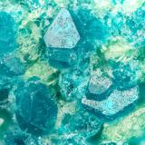 Spangolite<br />Blanchard Mine (Portales-Blanchard Mine), Bingham, Hansonburg District, Socorro County, New Mexico, USA<br />FOV = 1.7 mm<br /> (Author: Doug)