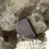 Pseudobrookite<br />Lemolo Lake, Clearwater, Douglas County, Oregon, USA<br />FOV = 1.1 mm<br /> (Author: Doug)