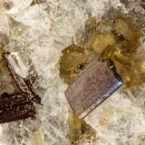 Pseudobrookite, EnstatiteLemolo Lake, Clearwater, Douglas County, Oregon, USAFOV = 1.2 mm (Author: Doug)