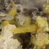 Aegirine<br />Summit Rock, Klamath County, Oregon, USA<br />FOV = 1.6 mm<br /> (Author: Doug)