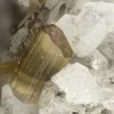 Enstatite<br />Lemolo Lake, Clearwater, Douglas County, Oregon, USA<br />FOV = 1.6 mm<br /> (Author: Doug)