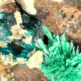 Pseudomalachite, Malachite, DioptaseBonanza Mine, Bonanza and Golden Eagle Mine group, Martin Peak, Little Harquahala Mountains, Salome, Little Harquahala District, La Paz County, Arizona, USAFOV = 3.4 mm (Author: Doug)