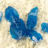 Cornetite<br />L'Etoile du Congo Mine, Lubumbashi (Elizabethville), Katanga Copper Crescent, Haut-Katanga (Shaba), Democratic Republic of the Congo (Zaire)<br />FOV = 1.5 mm<br /> (Author: Doug)