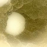 Boggsite, Tschernichite<br />Neer Road, Goble, Columbia County, Oregon, USA<br />FOV = 2.0<br /> (Author: Doug)
