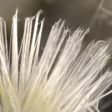 Mesolite<br />Upper Ritter Quarry, Ritter, Grant County, Oregon, USA<br />FOV = 3.8 mm<br /> (Author: Doug)