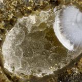 Boggsite, Tschernichite<br />Neer Road, Goble, Columbia County, Oregon, USA<br />FOV = 3.2 mm<br /> (Author: Doug)