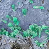 Malachite<br />Highland Valley Copper Mine, Logan Lake, Kamloops Mining Division, British Columbia, Canada<br />FOV = 4.0 mm<br /> (Author: Doug)