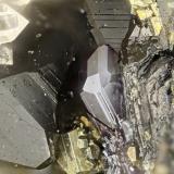 Pyrargyrite, Pyrite, Sphalerite<br />Silver tunnel, Van Silver Property , Brandywine Creek, Vancouver Mining Division, Vancouver Island, British Columbia, Canada<br />FOV = 1.7 mm<br /> (Author: Doug)