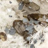 Enstatite, Ilmenite, Fluorapatite<br />Summit Rock, Klamath County, Oregon, USA<br />FOV = 3.2 mm<br /> (Author: Doug)