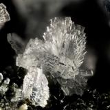 'Heulandite'Arroyo Big Tree, Yacolt, Condado Clark, Washington, USAFOV = 3.6 mm (Author: Doug)