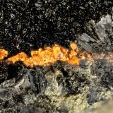 Copper<br />Beaver Valley Quarry, Shine, Jefferson County, Washington, USA<br />FOV = 3.1 mm<br /> (Author: Doug)