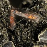 Copper<br />Beaver Valley Quarry, Shine, Jefferson County, Washington, USA<br />FOV = 2.1 mm<br /> (Author: Doug)