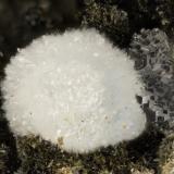 Cowlesite, 'Heulandite'<br />Big Tree Creek, Yacolt, Clark County, Washington, USA<br />FOV = 2.9 mm<br /> (Author: Doug)